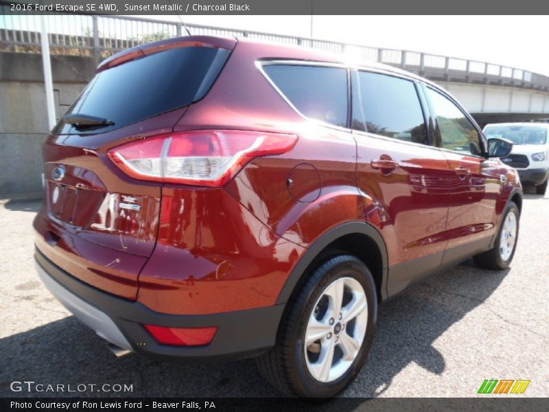 Sunset Metallic / Charcoal Black 2016 Ford Escape SE 4WD