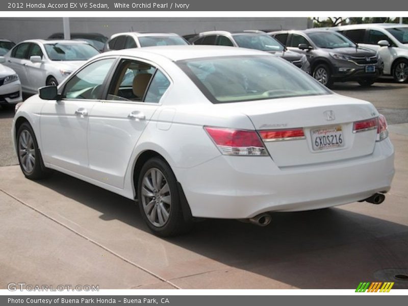 White Orchid Pearl / Ivory 2012 Honda Accord EX V6 Sedan