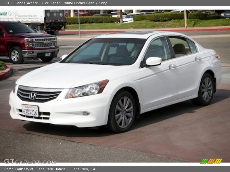 White Orchid Pearl / Ivory 2012 Honda Accord EX V6 Sedan