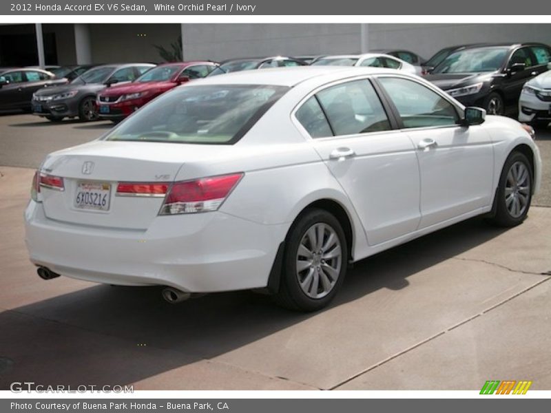 White Orchid Pearl / Ivory 2012 Honda Accord EX V6 Sedan