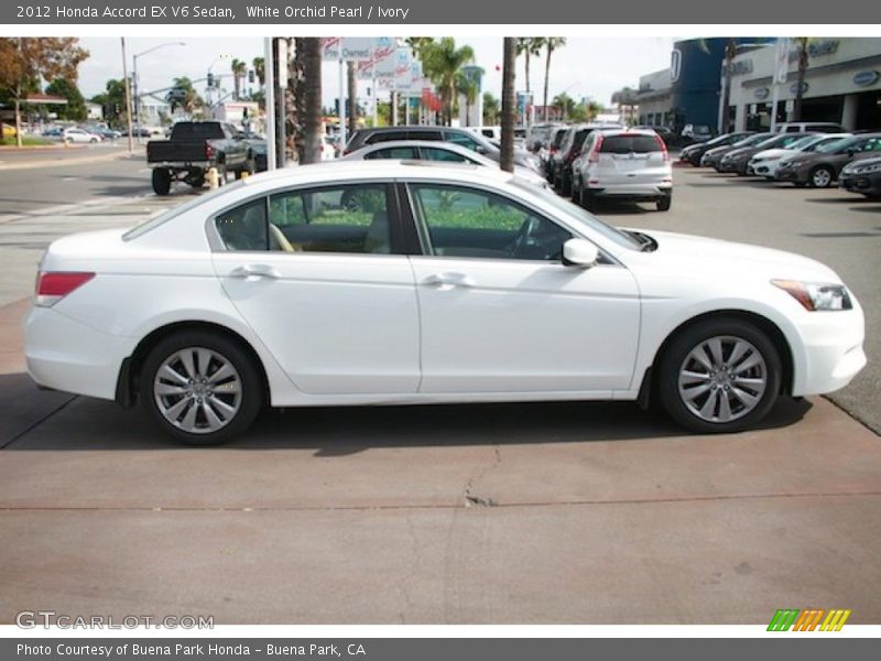 White Orchid Pearl / Ivory 2012 Honda Accord EX V6 Sedan