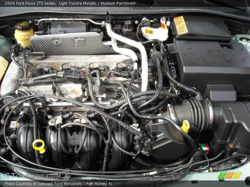 Light Tundra Metallic / Medium Parchment 2004 Ford Focus ZTS Sedan