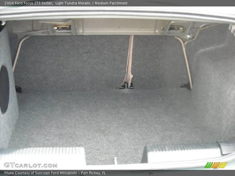 Light Tundra Metallic / Medium Parchment 2004 Ford Focus ZTS Sedan