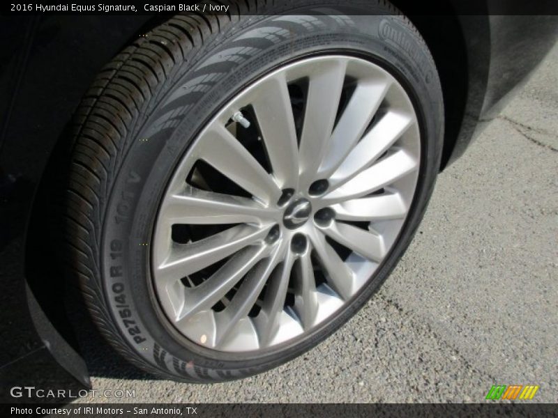  2016 Equus Signature Wheel