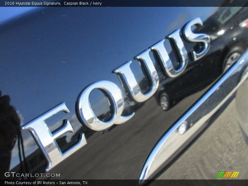 Caspian Black / Ivory 2016 Hyundai Equus Signature