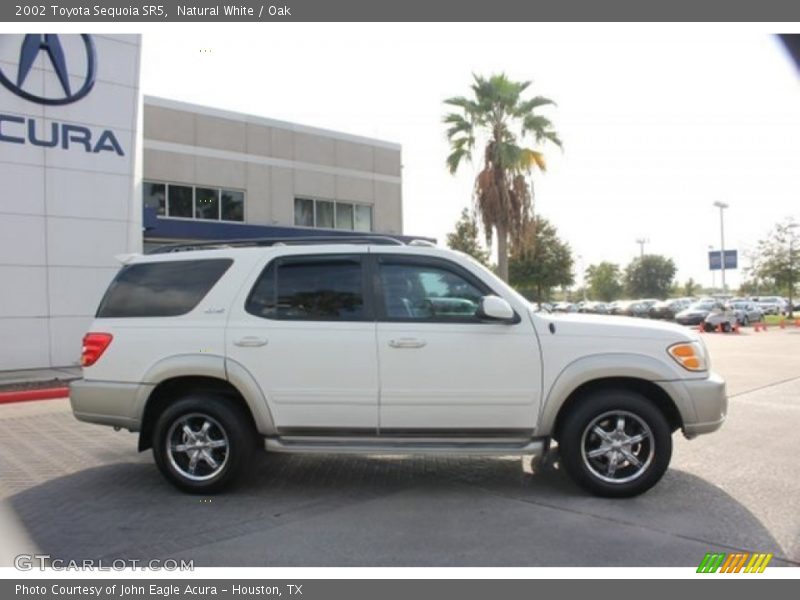 Natural White / Oak 2002 Toyota Sequoia SR5