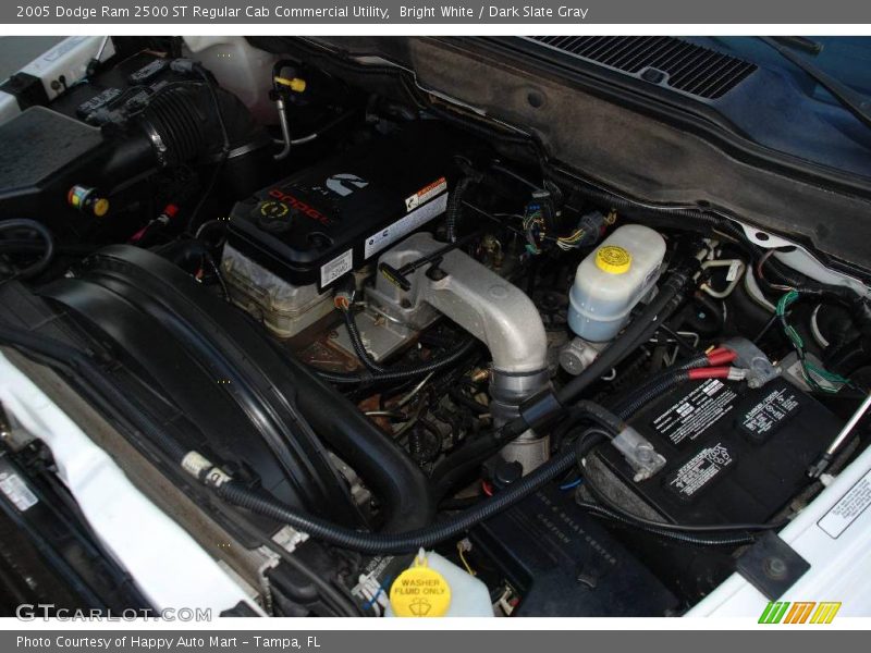 Bright White / Dark Slate Gray 2005 Dodge Ram 2500 ST Regular Cab Commercial Utility