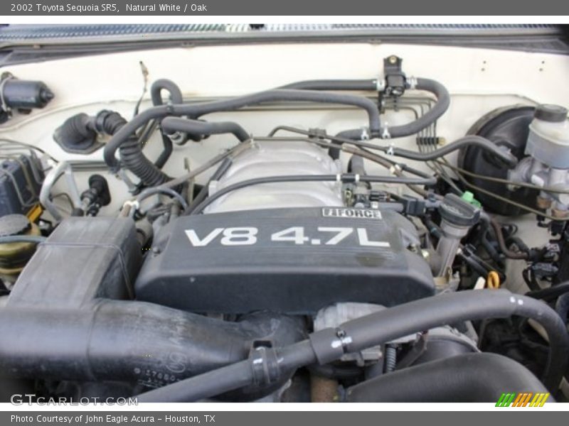 Natural White / Oak 2002 Toyota Sequoia SR5