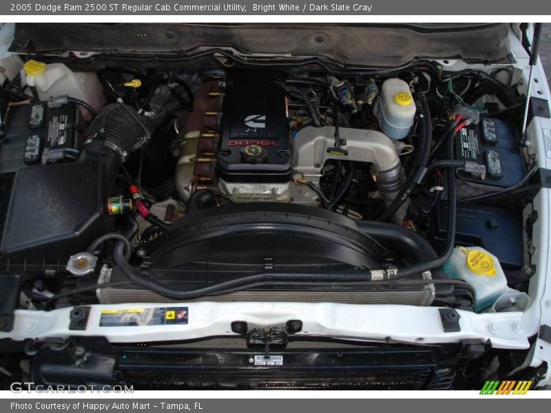 Bright White / Dark Slate Gray 2005 Dodge Ram 2500 ST Regular Cab Commercial Utility