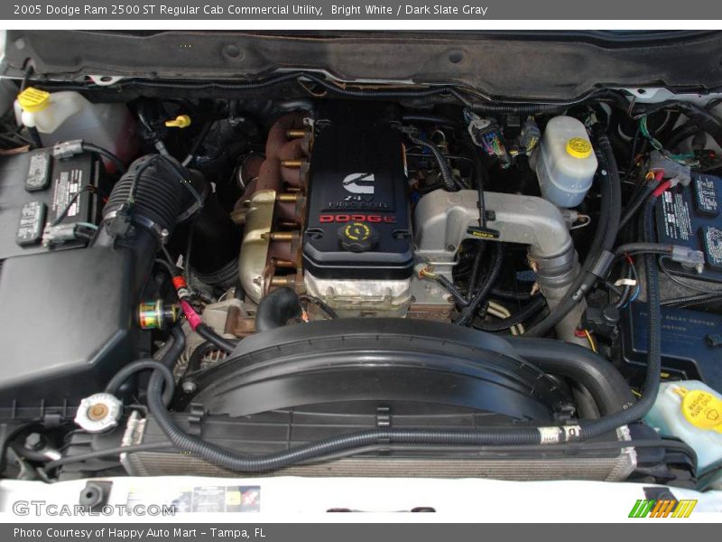 Bright White / Dark Slate Gray 2005 Dodge Ram 2500 ST Regular Cab Commercial Utility