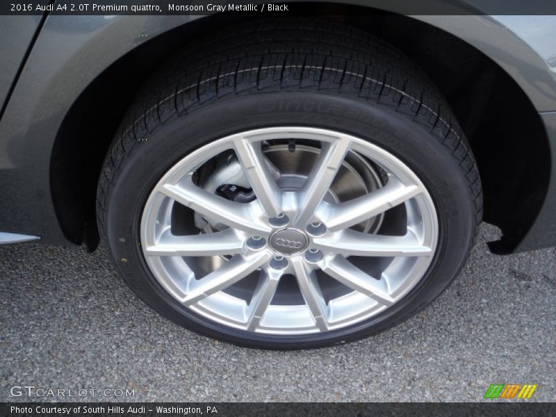 Monsoon Gray Metallic / Black 2016 Audi A4 2.0T Premium quattro