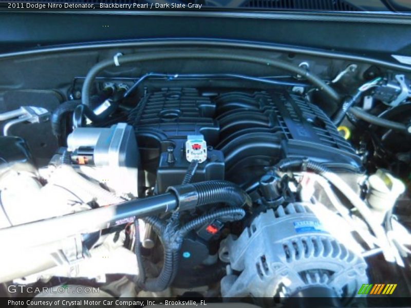 Blackberry Pearl / Dark Slate Gray 2011 Dodge Nitro Detonator