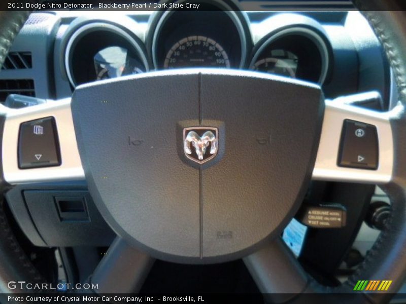 Blackberry Pearl / Dark Slate Gray 2011 Dodge Nitro Detonator