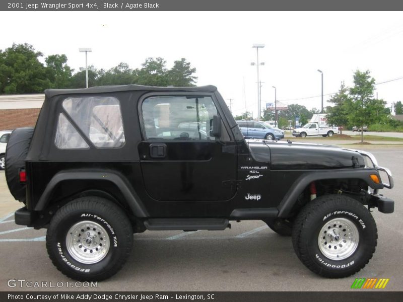 Black / Agate Black 2001 Jeep Wrangler Sport 4x4