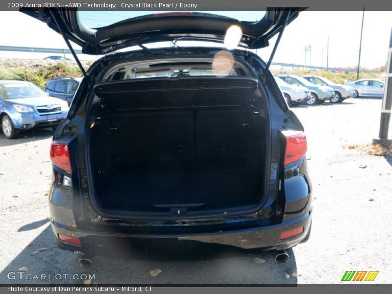 Crystal Black Pearl / Ebony 2009 Acura RDX SH-AWD Technology