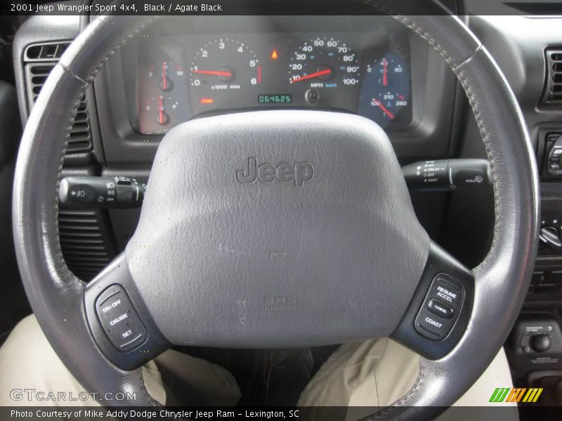 Black / Agate Black 2001 Jeep Wrangler Sport 4x4