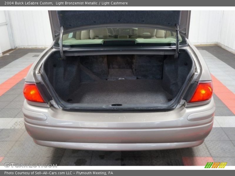 Light Bronzemist Metallic / Light Cashmere 2004 Buick LeSabre Custom