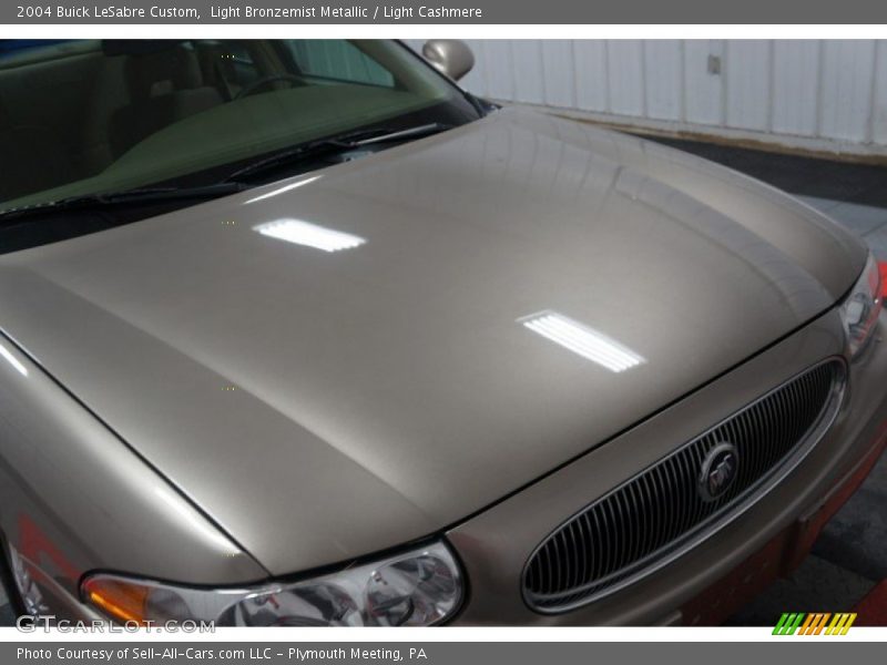 Light Bronzemist Metallic / Light Cashmere 2004 Buick LeSabre Custom