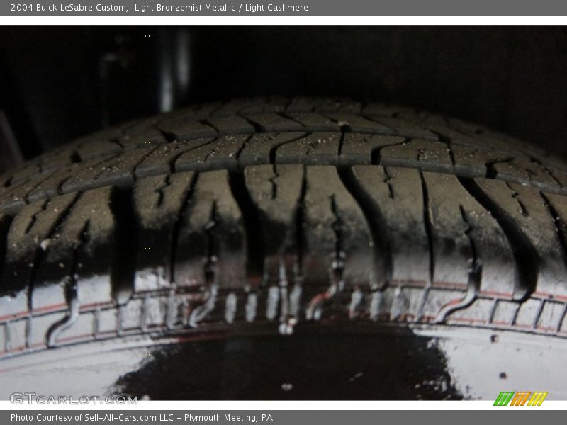 Light Bronzemist Metallic / Light Cashmere 2004 Buick LeSabre Custom
