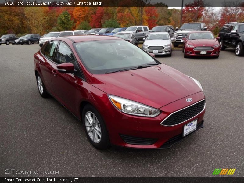 Ruby Red / Charcoal Black 2016 Ford Focus SE Sedan
