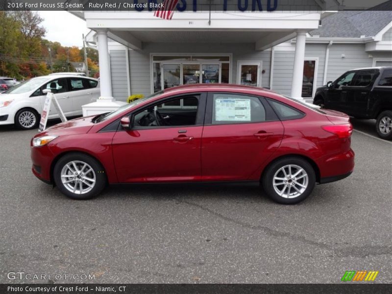 Ruby Red / Charcoal Black 2016 Ford Focus SE Sedan