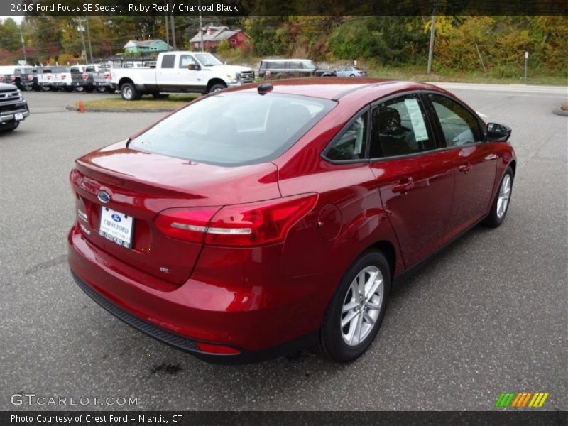 Ruby Red / Charcoal Black 2016 Ford Focus SE Sedan