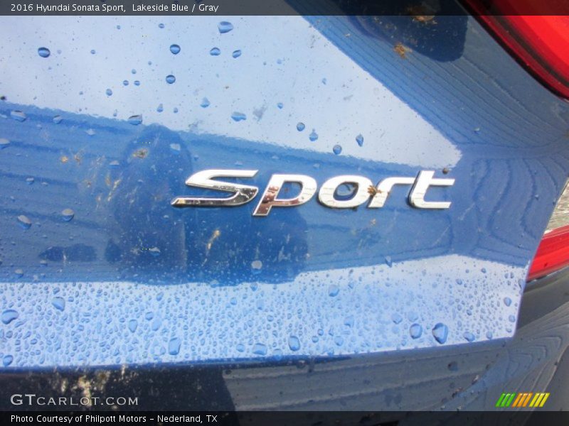 Lakeside Blue / Gray 2016 Hyundai Sonata Sport