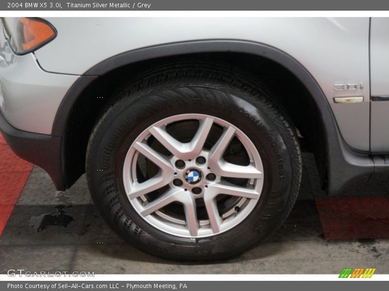 Titanium Silver Metallic / Grey 2004 BMW X5 3.0i