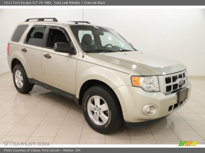 Gold Leaf Metallic / Charcoal Black 2011 Ford Escape XLT V6 4WD