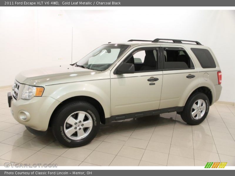 Gold Leaf Metallic / Charcoal Black 2011 Ford Escape XLT V6 4WD