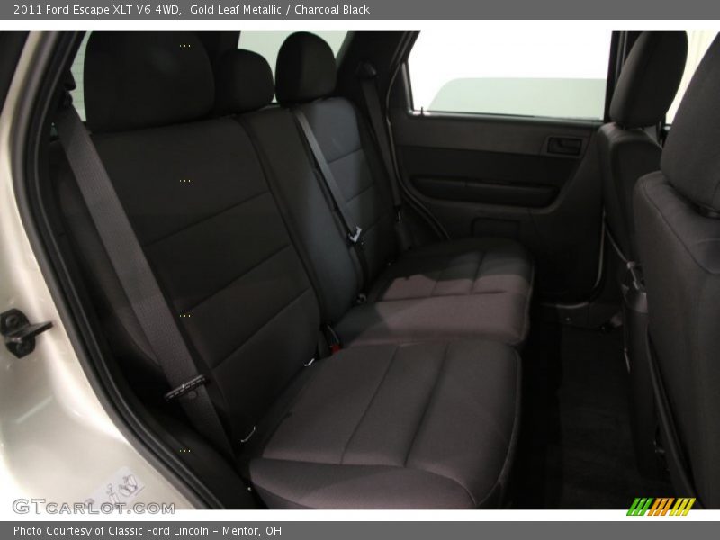 Gold Leaf Metallic / Charcoal Black 2011 Ford Escape XLT V6 4WD