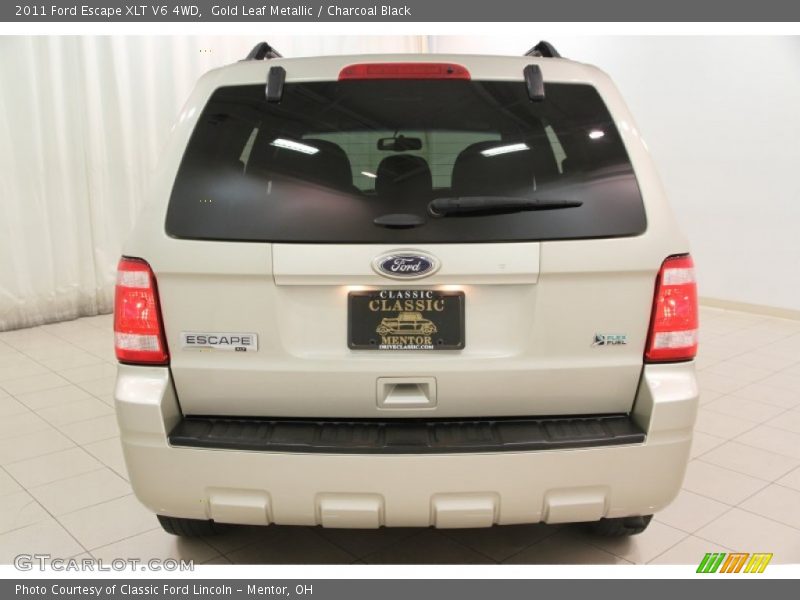 Gold Leaf Metallic / Charcoal Black 2011 Ford Escape XLT V6 4WD