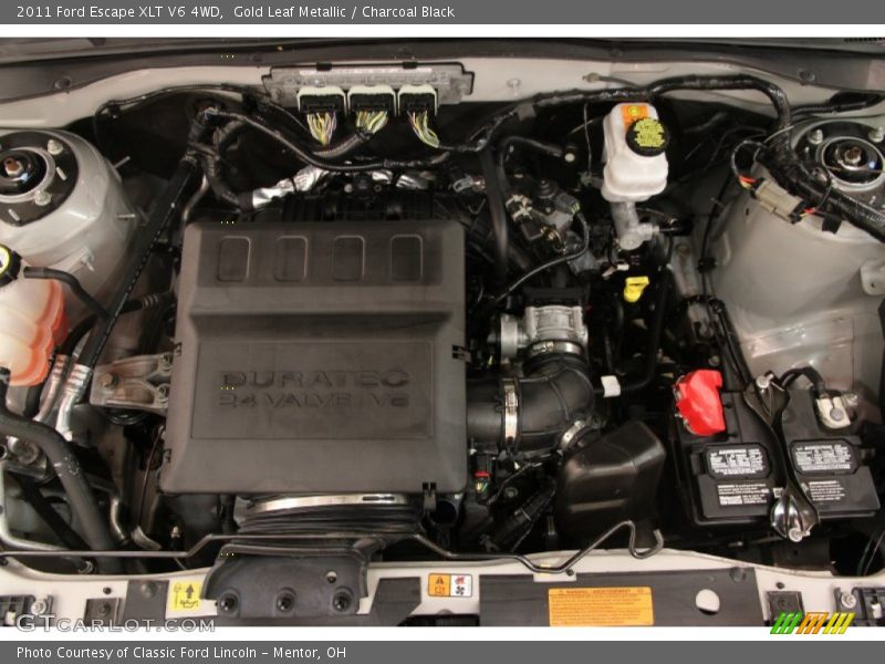 Gold Leaf Metallic / Charcoal Black 2011 Ford Escape XLT V6 4WD