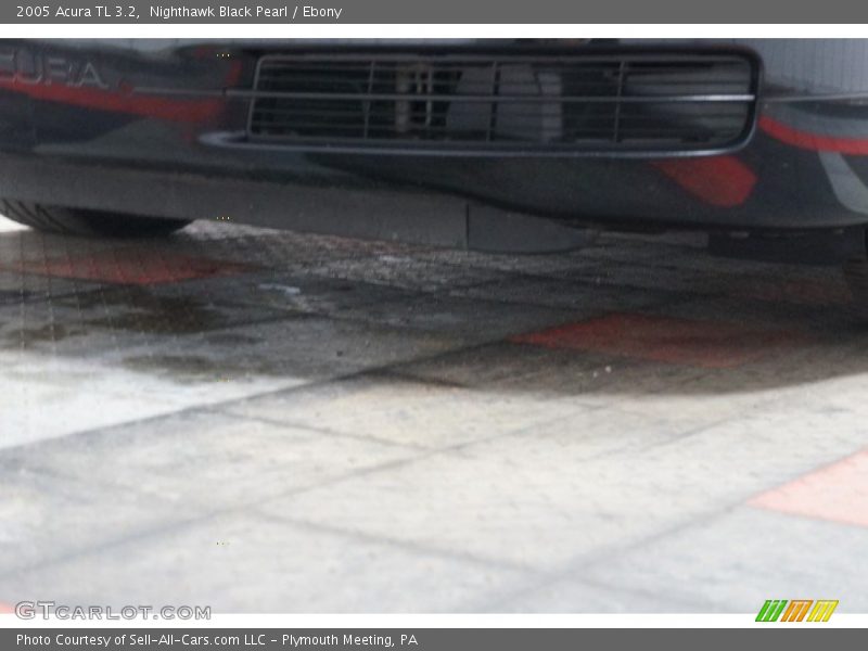 Nighthawk Black Pearl / Ebony 2005 Acura TL 3.2