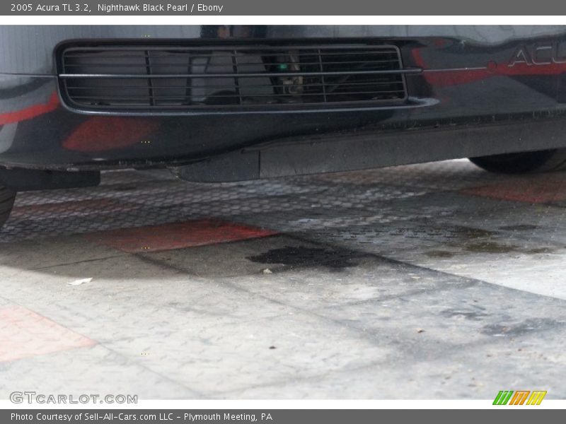 Nighthawk Black Pearl / Ebony 2005 Acura TL 3.2