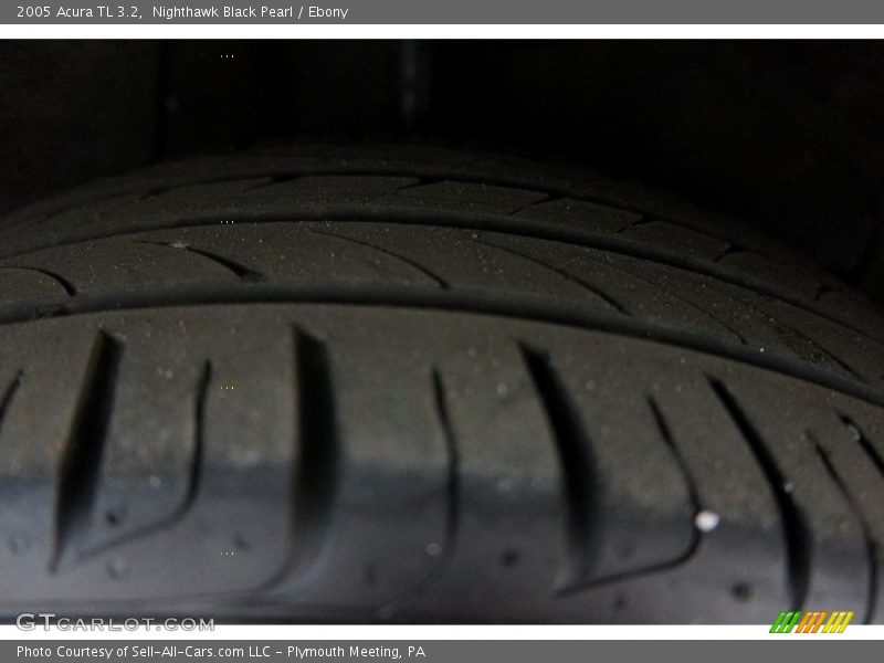 Nighthawk Black Pearl / Ebony 2005 Acura TL 3.2