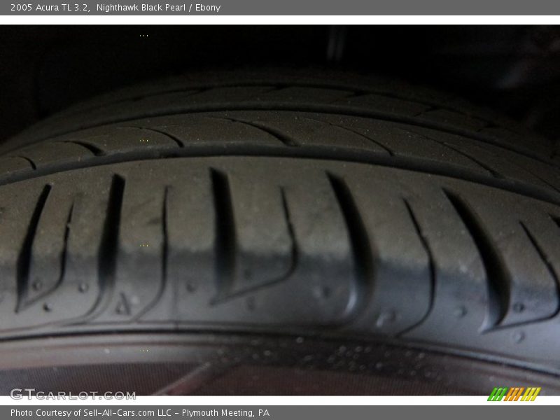 Nighthawk Black Pearl / Ebony 2005 Acura TL 3.2