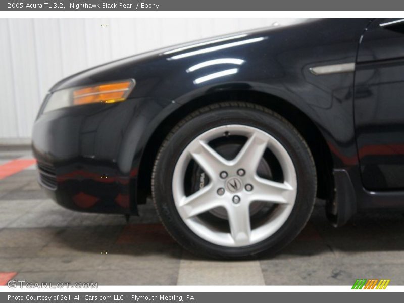 Nighthawk Black Pearl / Ebony 2005 Acura TL 3.2