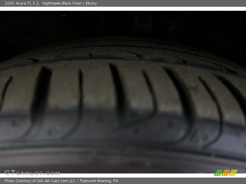 Nighthawk Black Pearl / Ebony 2005 Acura TL 3.2