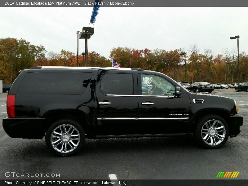 Black Raven / Ebony/Ebony 2014 Cadillac Escalade ESV Platinum AWD