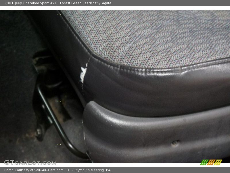 Forest Green Pearlcoat / Agate 2001 Jeep Cherokee Sport 4x4