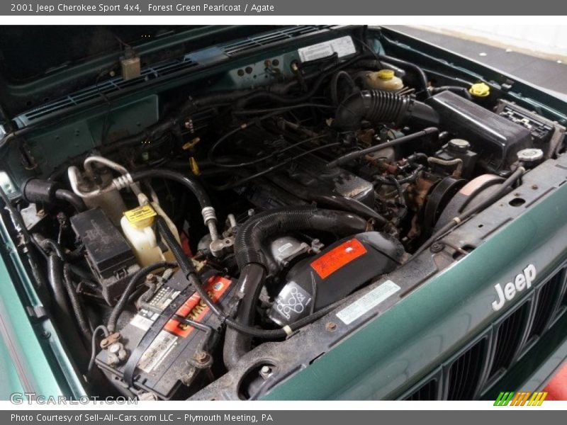 Forest Green Pearlcoat / Agate 2001 Jeep Cherokee Sport 4x4