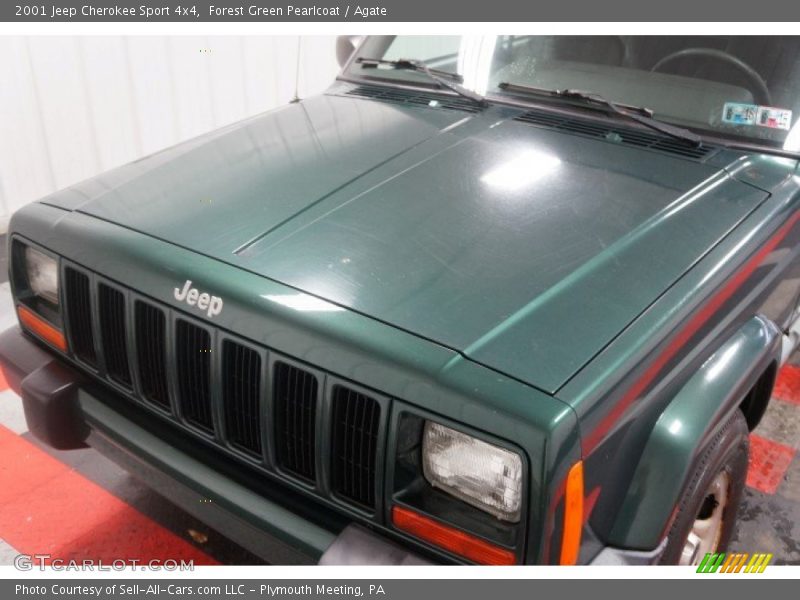Forest Green Pearlcoat / Agate 2001 Jeep Cherokee Sport 4x4