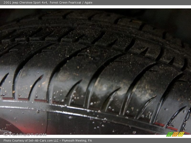 Forest Green Pearlcoat / Agate 2001 Jeep Cherokee Sport 4x4