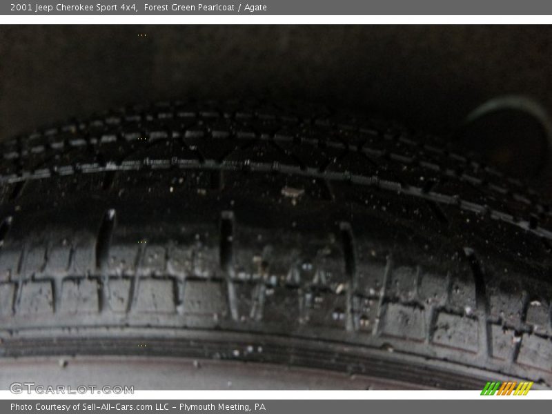 Forest Green Pearlcoat / Agate 2001 Jeep Cherokee Sport 4x4