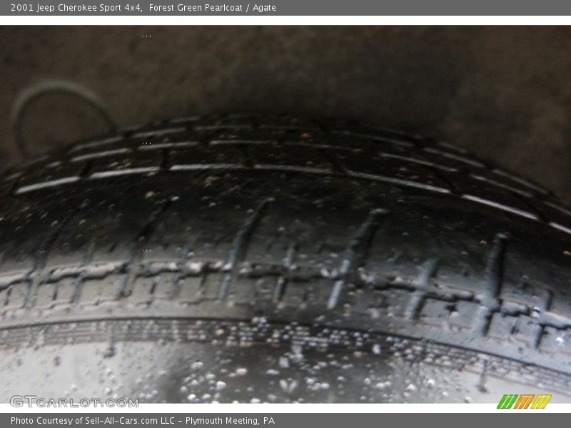 Forest Green Pearlcoat / Agate 2001 Jeep Cherokee Sport 4x4