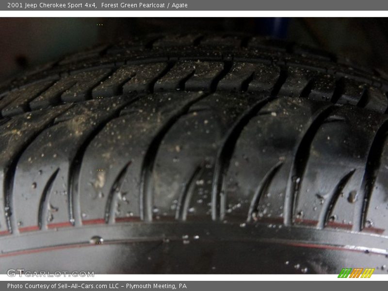 Forest Green Pearlcoat / Agate 2001 Jeep Cherokee Sport 4x4