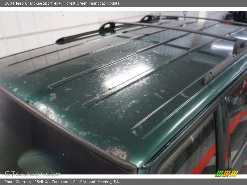 Forest Green Pearlcoat / Agate 2001 Jeep Cherokee Sport 4x4