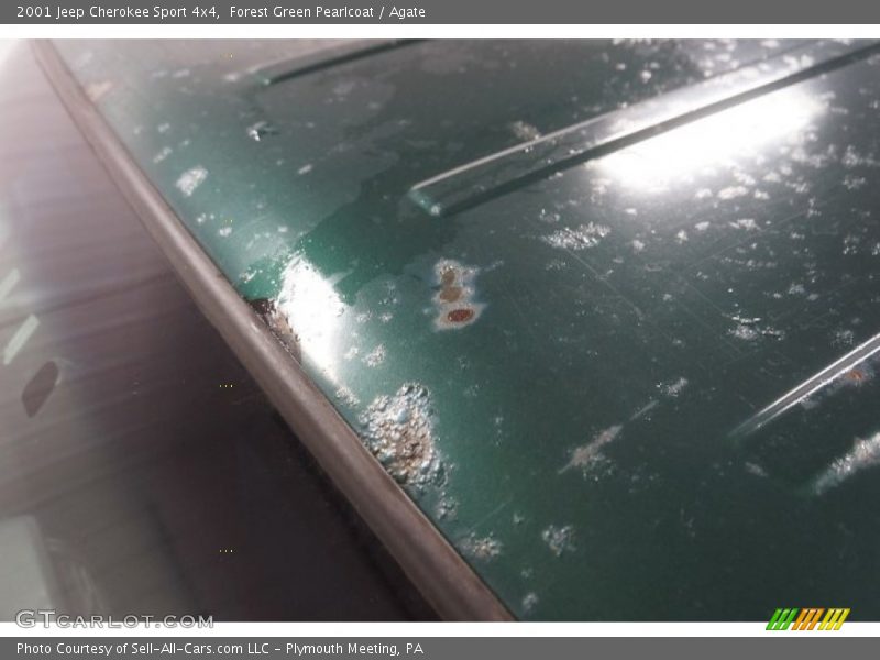 Forest Green Pearlcoat / Agate 2001 Jeep Cherokee Sport 4x4