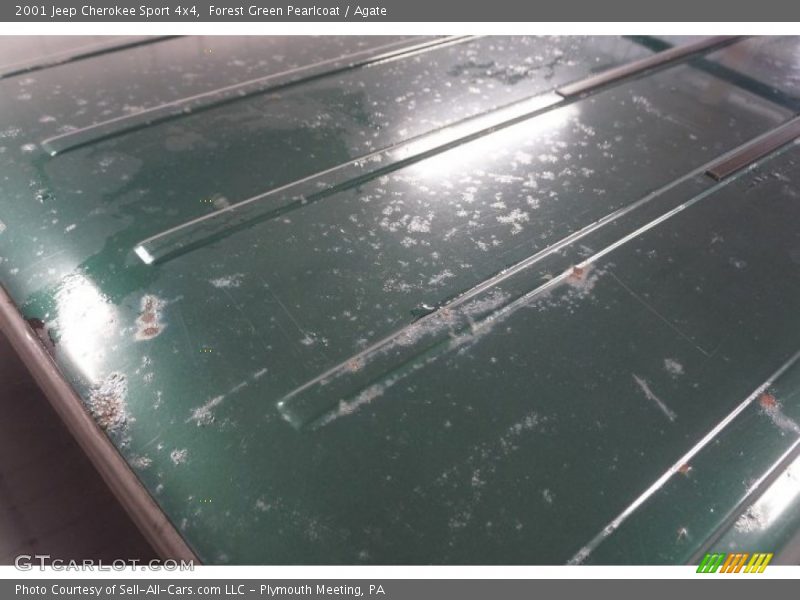 Forest Green Pearlcoat / Agate 2001 Jeep Cherokee Sport 4x4